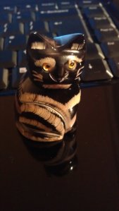 Cats like technology (cause it's warm!)