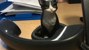 Hanging at the telephone