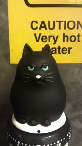 Caution! Hot cat!
