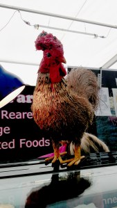 Meet the food festival mascot, Mr Chicken.
