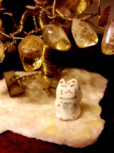 Classical set up (for a cat)