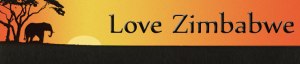 Official logo of Love Zimbabwe Charity