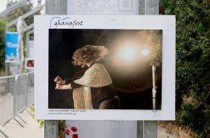 Earth Garden Panel 6