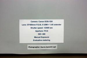 Technical details of the print