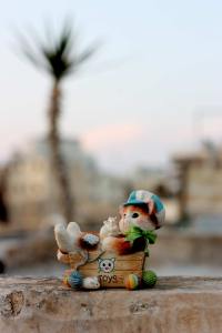 Under the palm and dreaming