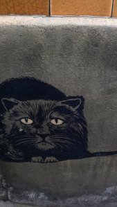 Kitty, kitty, kitty...bad luck!