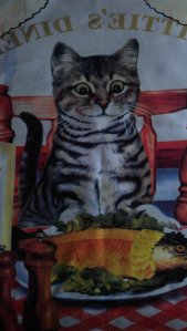 Tabby cat and his fish