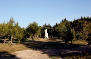 Ta`Qali National Garden panorama with a Cat guardian sculpture.  What did you expect? Flowers? We run a cat shop! 