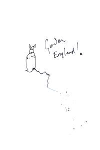 British cat by Gordon