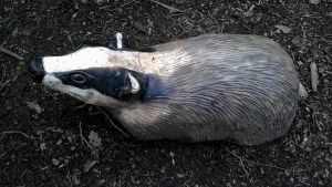 Fourth badger