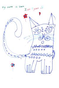 Liam's very elaborate cat