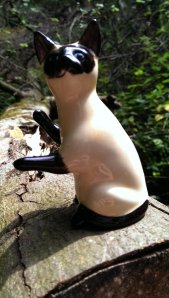 This way, I know the short cut