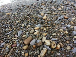 The stones from the beach are  a popular paving materials - many drives in the village are paved with them