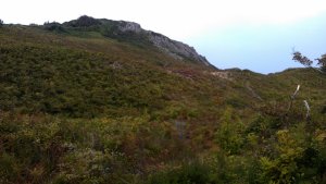 Sand dunes between the Stackpole Estate and Barafundle Bay
