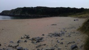 Early evening  - it's been a long day!