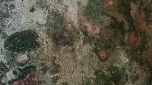 People leave graffiti on the walls of the chapel since  the middle ages - we didn't feel inclined to do the same