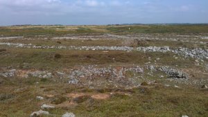 Stone circles - they were used as a practice targets for military planes