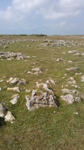 Rockly plateau is now home to hundreds of rabbits