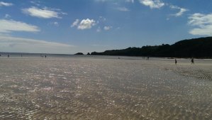 It's time to go home - the tide is rising!