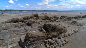 The rocky part of the beach is very interesting, you can find crabs and seashells in the rock pools forming at high tide