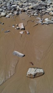 Tiny streams at the beach - sea water returning to the ocean