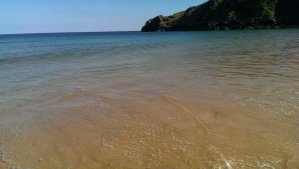 We weren't afraid to let our feet get wet