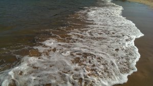 Barafundle Beach is considered one of the most beautiful beaches in Wales - here's a proof!