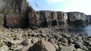 Castlemartin Range near the St Gowan's Chapel