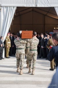 Picture by Mike Caffrey www.imagocentric.com