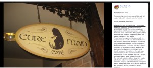 What is Maid Cafe according to Neko Maids Cafe