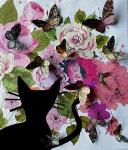 Butterflies spotting