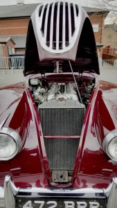 Ford Thunderbird front