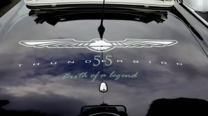 Ford Thunderbird logo