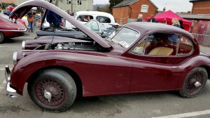 Ford Thunderbird profile