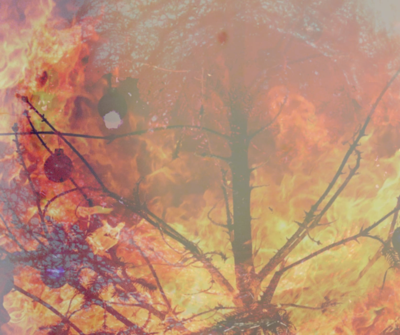 7ba55e8d-9580-492b-b6c2-8342a724bd3e